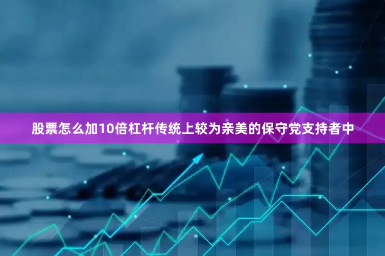 股票怎么加10倍杠杆传统上较为亲美的保守党支持者中