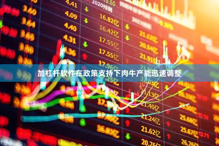 加杠杆软件在政策支持下肉牛产能迅速调整