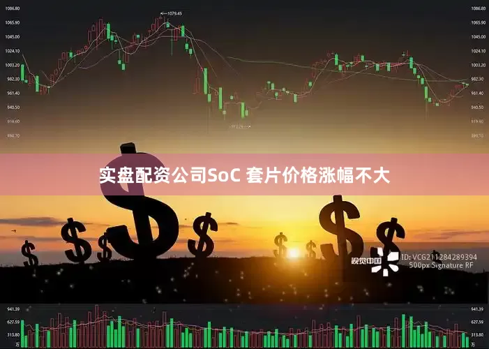 实盘配资公司SoC 套片价格涨幅不大