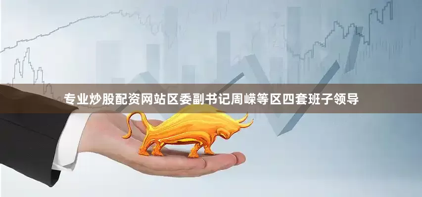 专业炒股配资网站区委副书记周嵘等区四套班子领导